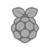 raspi-logo-gris